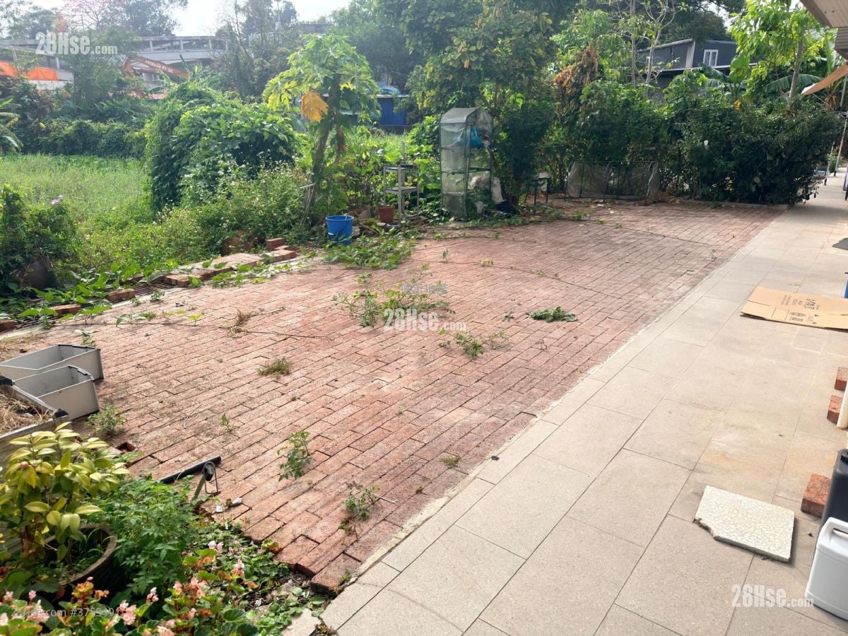 村屋 售盤 3 房 , 1 浴室