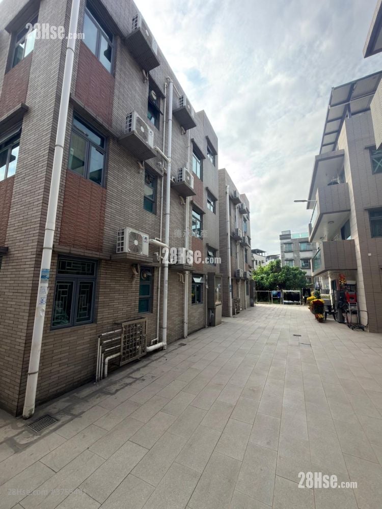 村屋 售盤 3 房 , 1 浴室