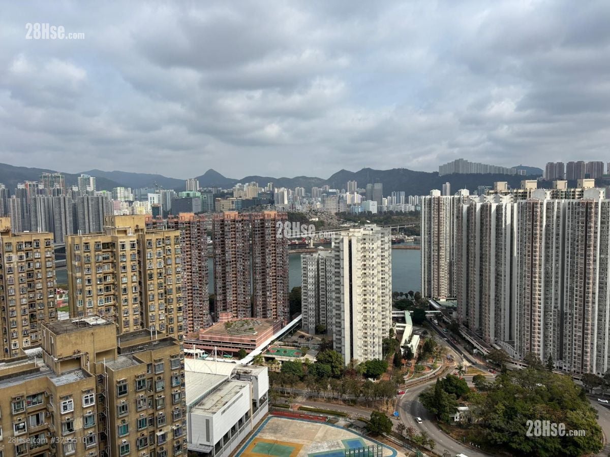 绿悠雅苑 售盘 2 房 , 1 浴室 542 平方尺