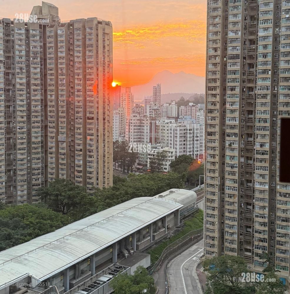 太和邨 售盤 2 房 , 1 浴室 349 平方呎