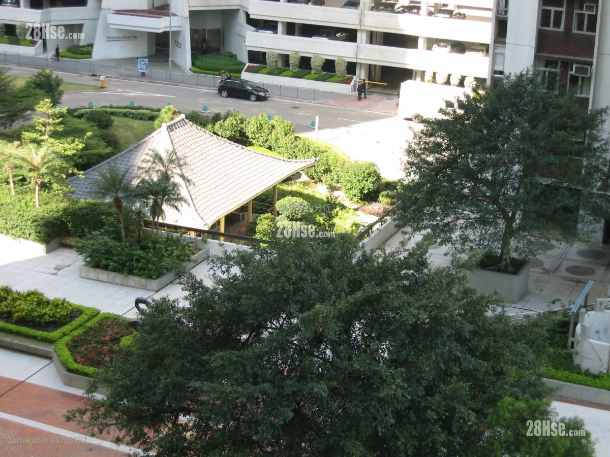 太古城 租盤 552 平方呎