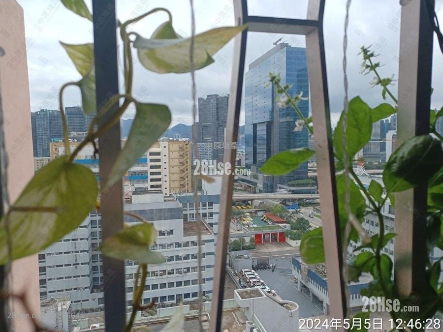 德福花园 售盘 2 房 517 平方尺