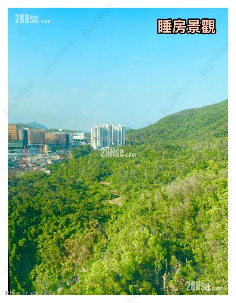 The Beaumount Sell 3 Bedrooms , 2 Bathrooms 737 ft²