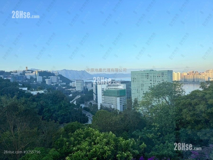 马铃径85-87号 售盘 4 房 2,187 平方尺