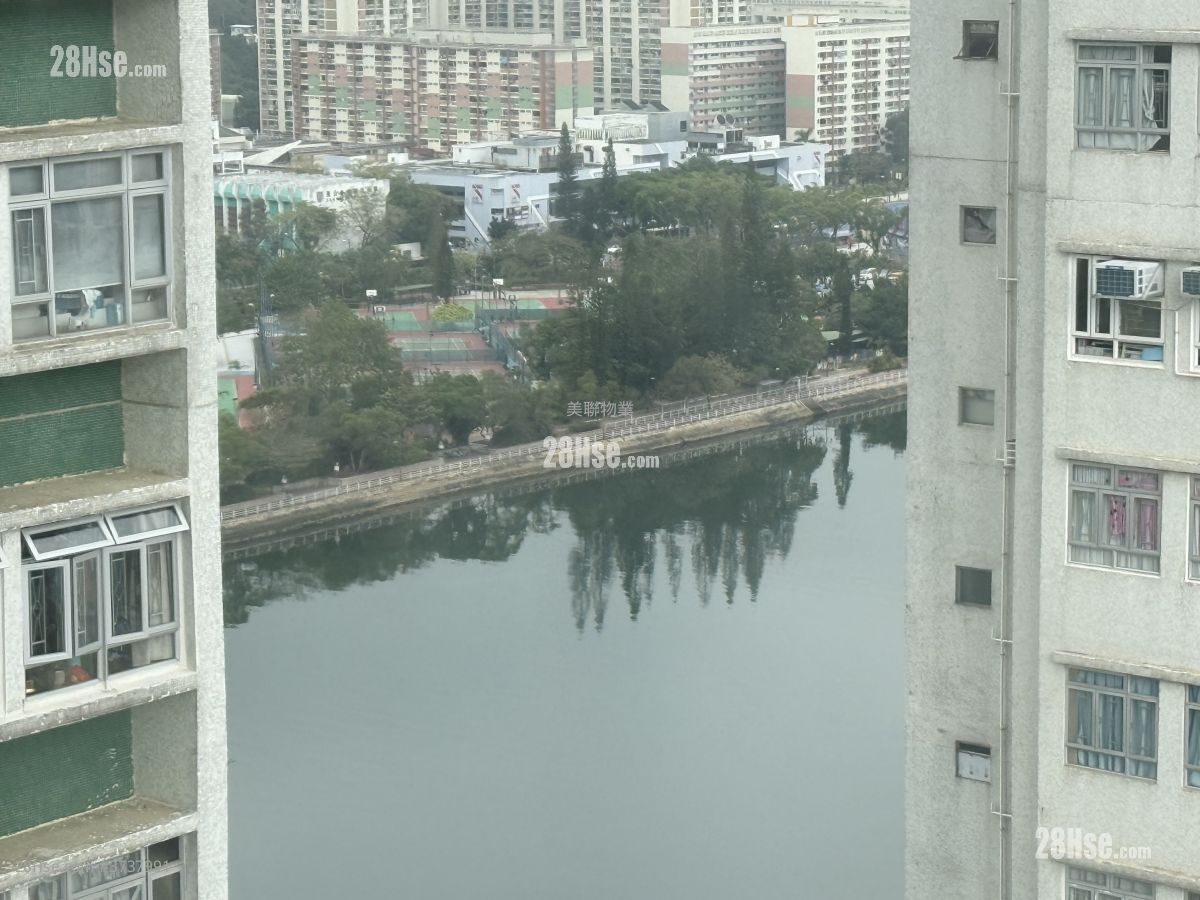 河畔花園 租盤 1 房 , 1 浴室 242 平方呎