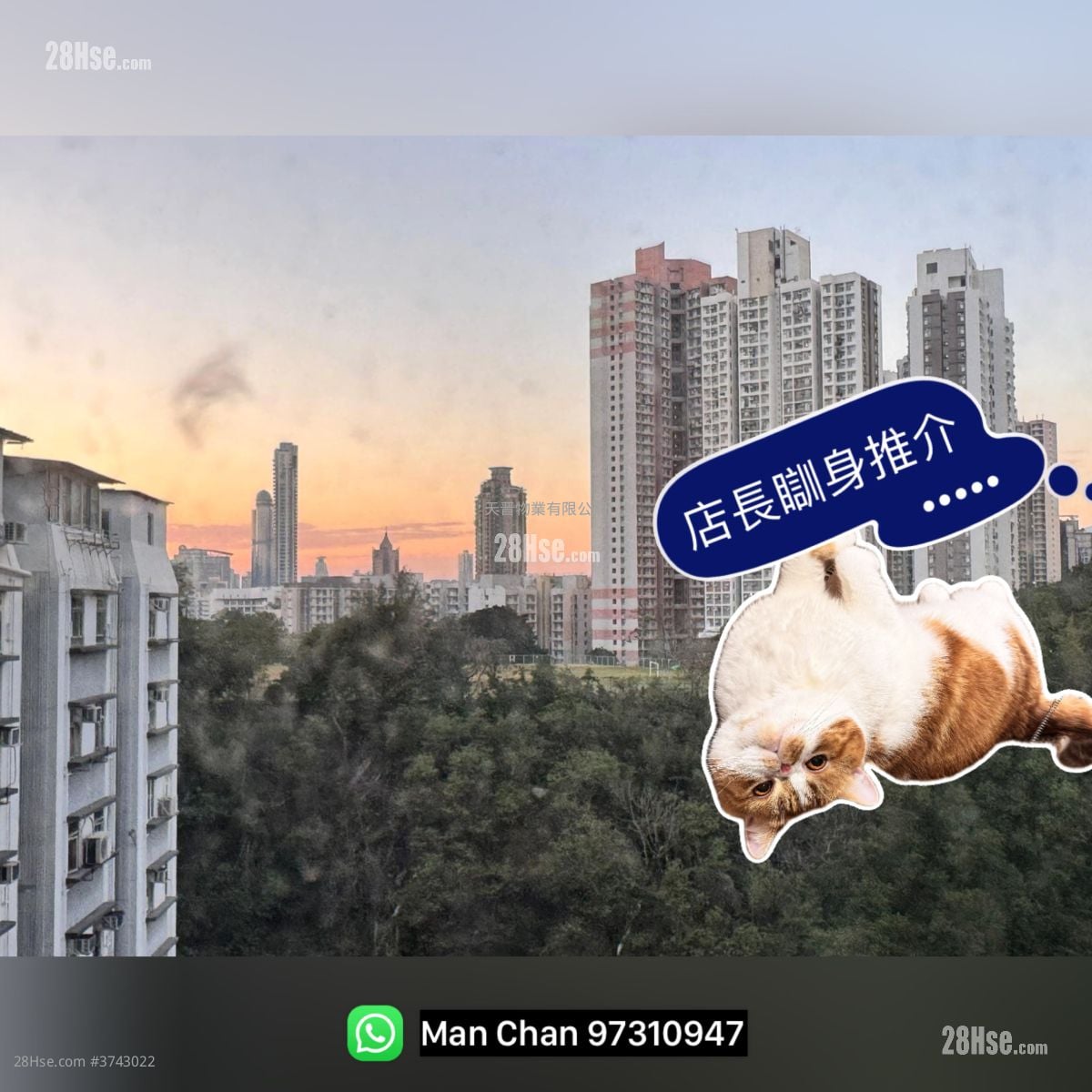 Tak Lee Court Sell 3 Bedrooms , 1 Bathroom 445 ft²