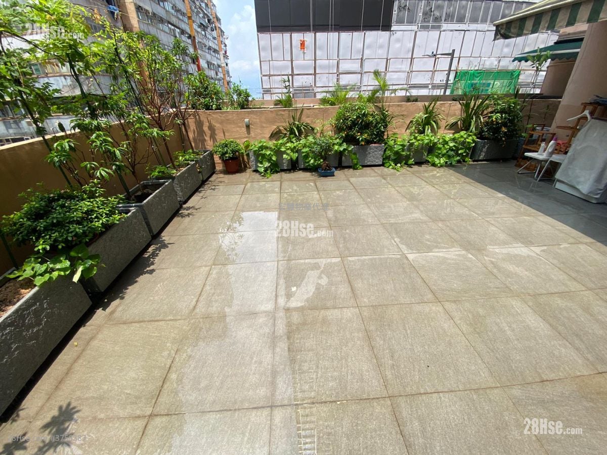 Shun Hing Building Rental 1 Bedroom , 1 Bathroom 471 ft²