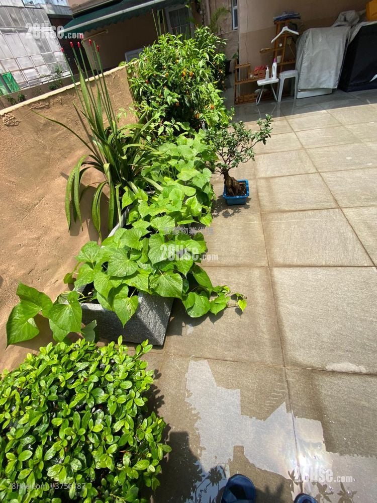 Shun Hing Building Rental 1 Bedroom , 1 Bathroom 471 ft²