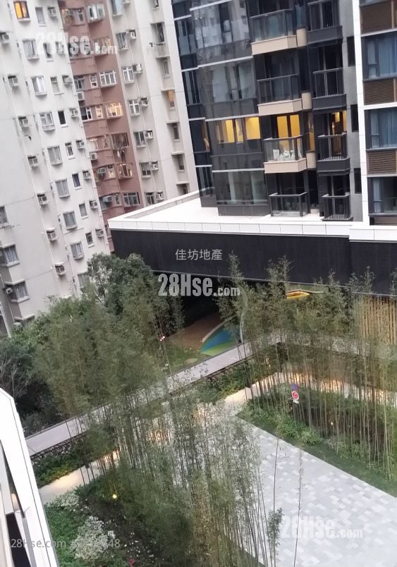 柏蔚山 租盘 3 房 , 3 浴室 906 平方尺