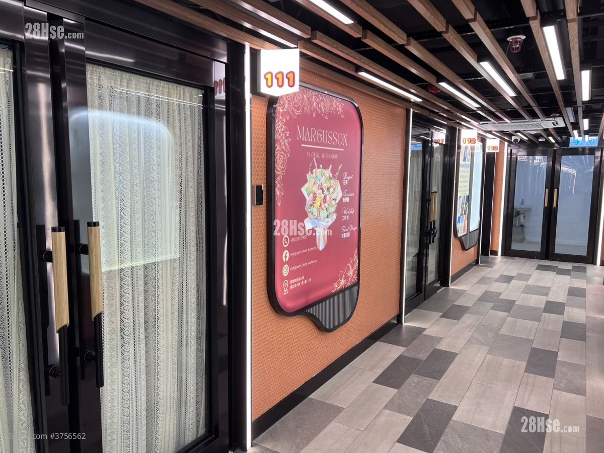 駱駝漆大廈 租盤