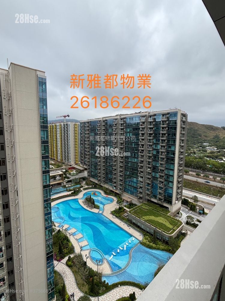 Grand Mayfair  Rental 2 Bedrooms , 1 Bathroom 478 ft²