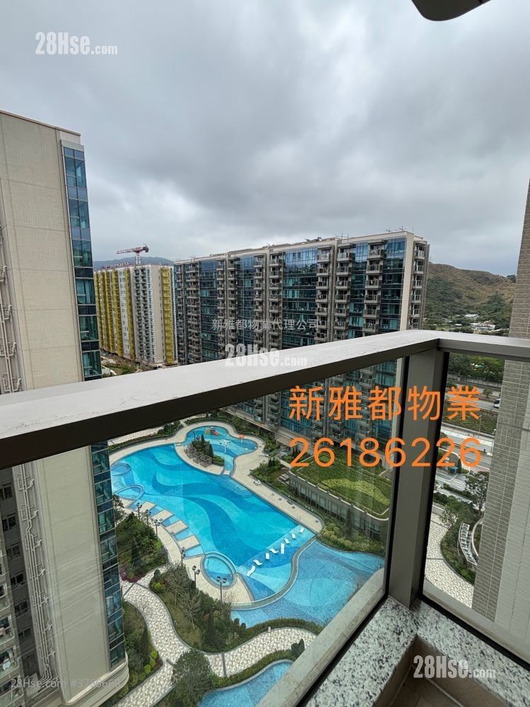 Grand Mayfair  Rental 2 Bedrooms , 1 Bathroom 478 ft²