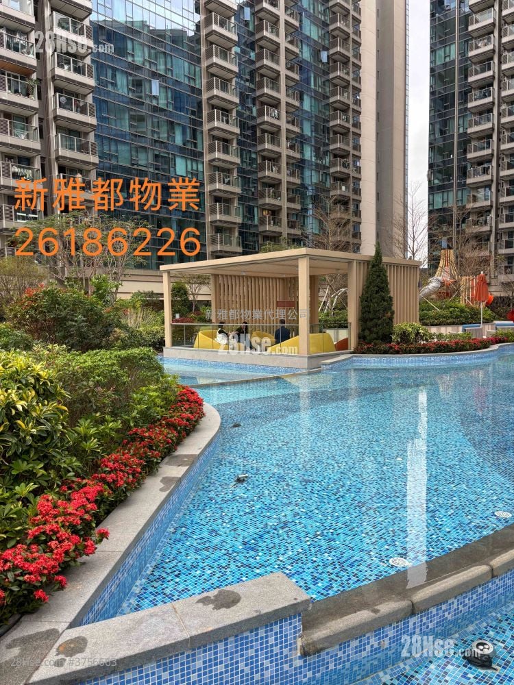 Grand Mayfair  Rental 2 Bedrooms , 1 Bathroom 478 ft²