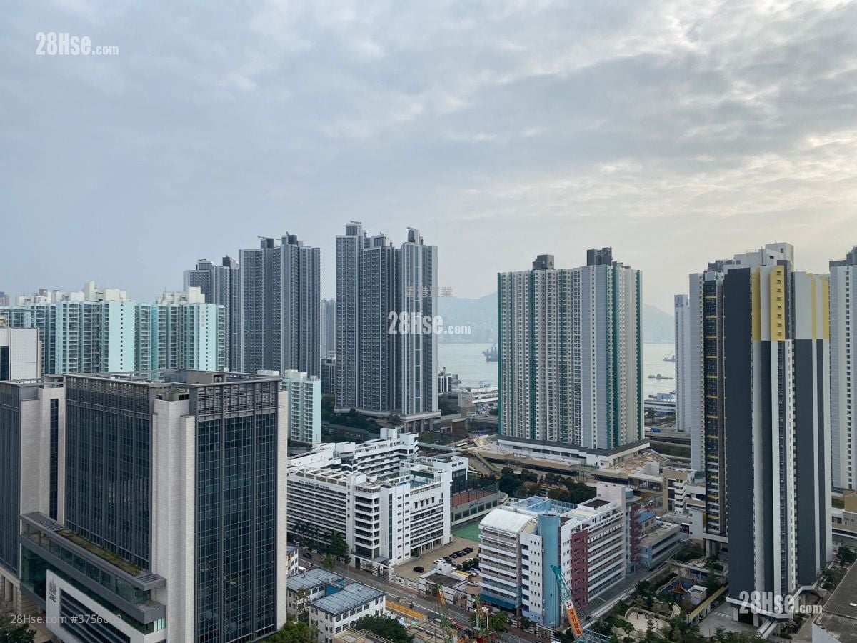 The Sparkle Sell 3 Bedrooms , 2 Bathrooms 775 ft²