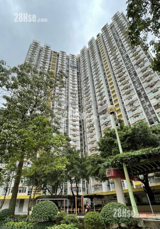 长安邨 售盘 2 房 , 1 浴室 489 平方尺