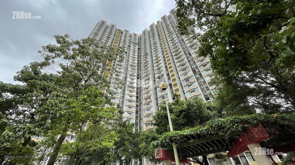 长安邨 售盘 2 房 , 1 浴室 489 平方尺