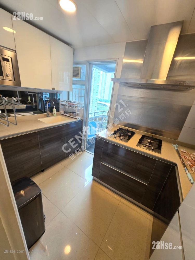 Jimmy豆生 63460809