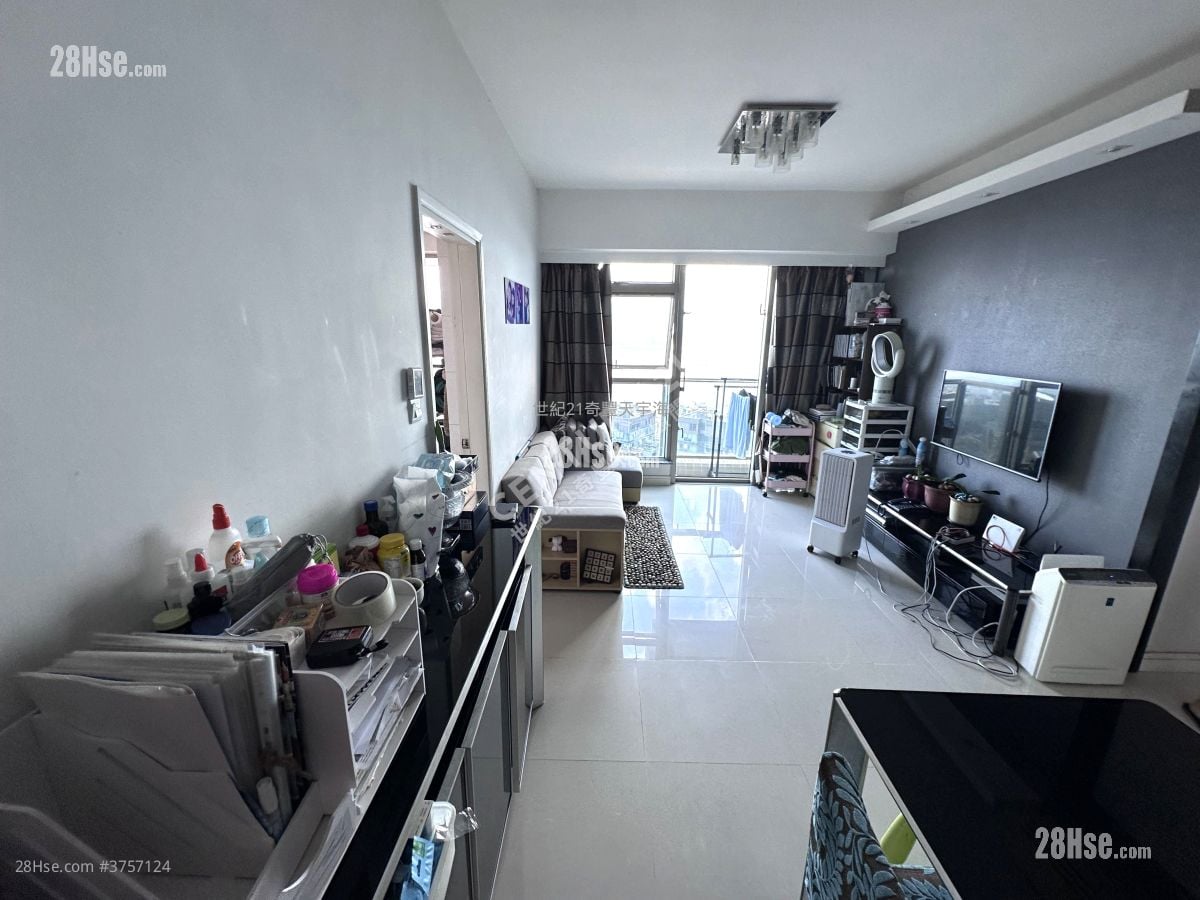 Jimmy豆生 63460809