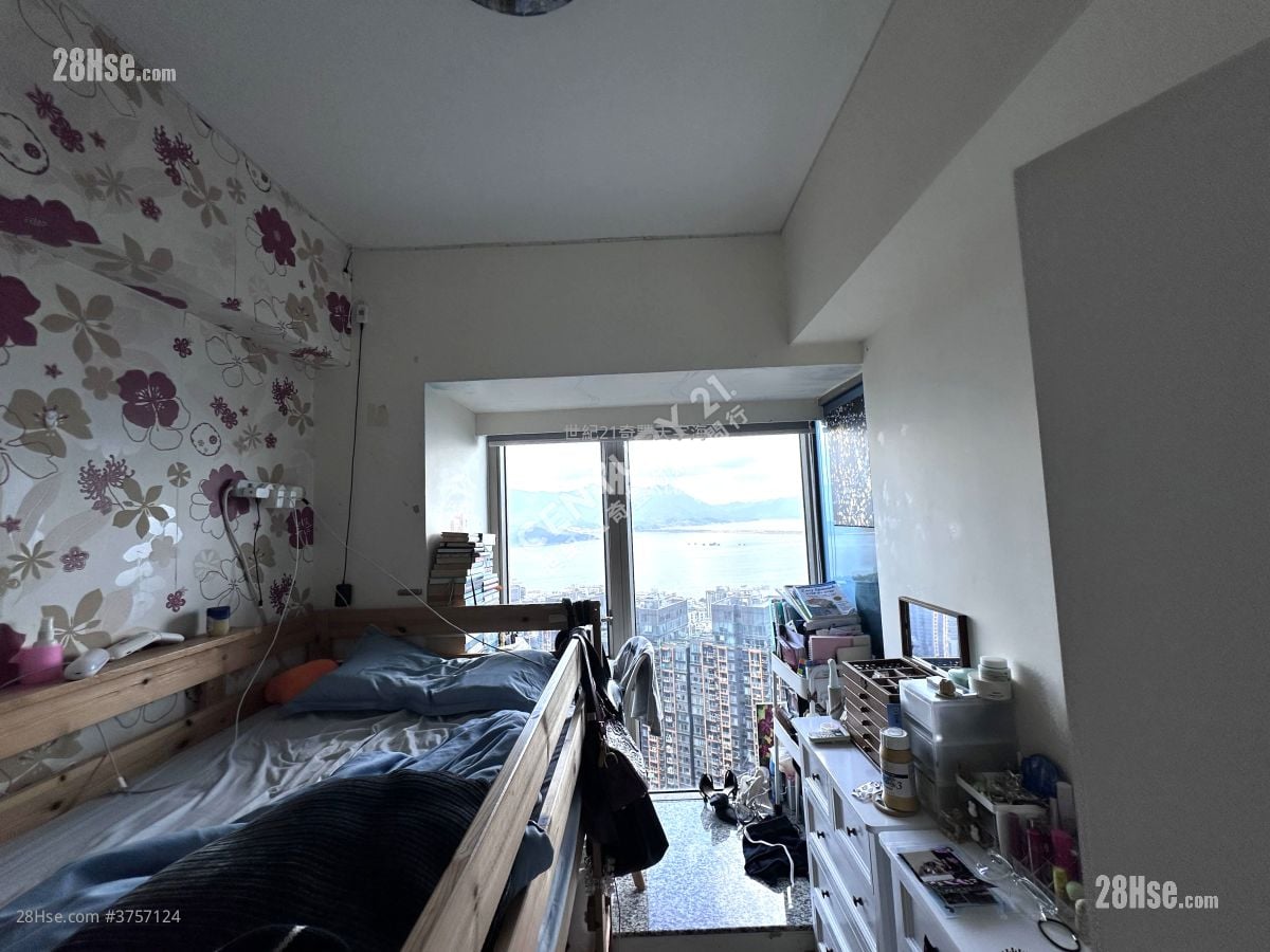 Jimmy豆生 63460809