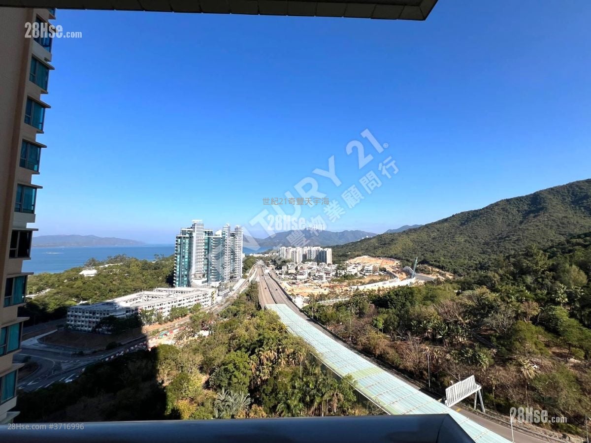 Jimmy豆生 63460809