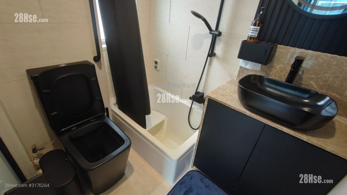 御匯 售盤 1 房 , 1 浴室 297 平方呎