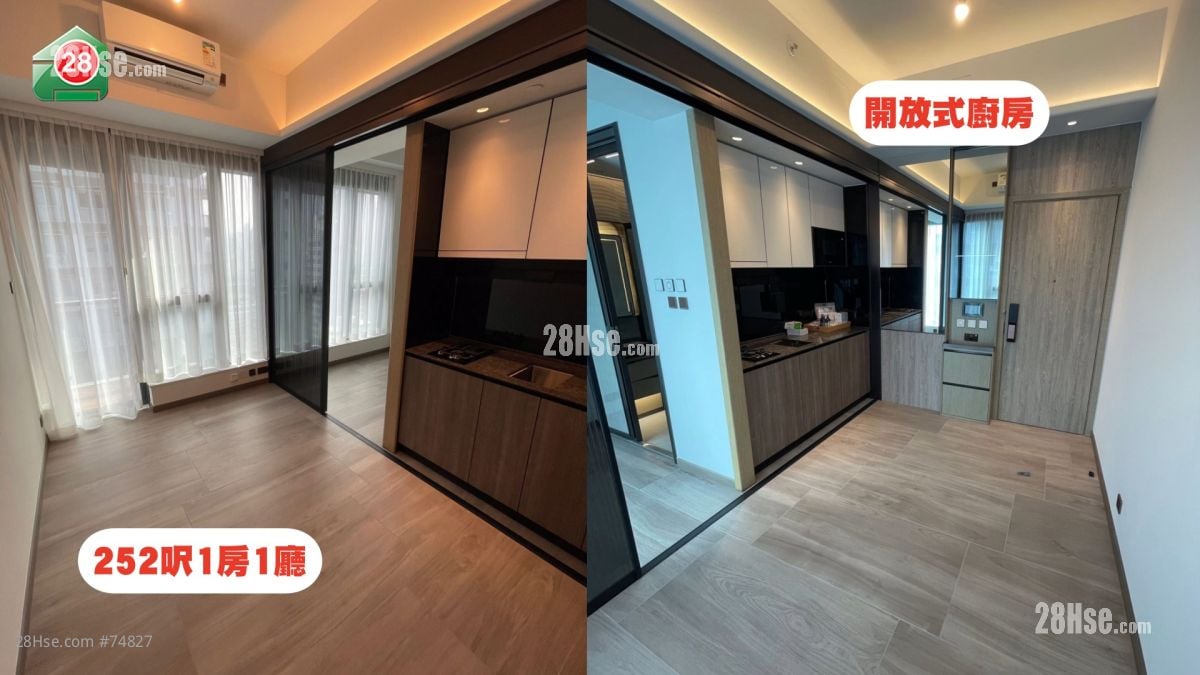 郭奕芯同類單位