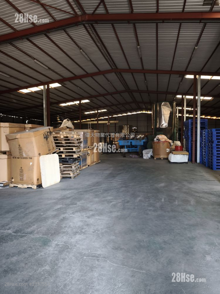 土地 租盤 1 浴室 12,000 平方呎