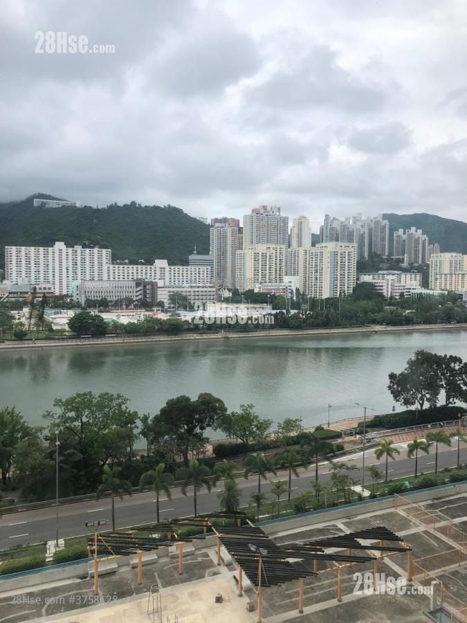 Garden Rivera Sell Studio , 1 Bathroom 242 ft²