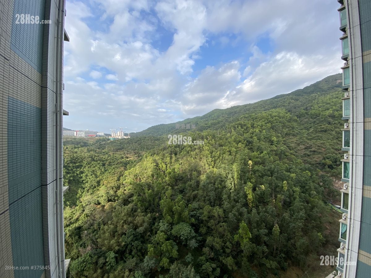 The Beaumount Sell 2 Bedrooms , 1 Bathroom 499 ft²