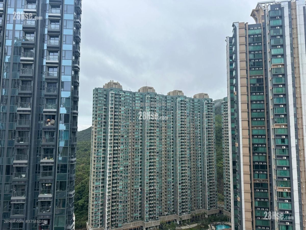 Manor Hill Rental Studio , 1 Bathroom 215 ft²