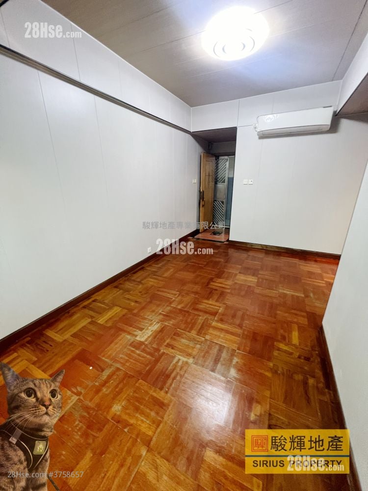 Ashfield House Rental 3 Bedrooms , 1 Bathroom 532 ft²