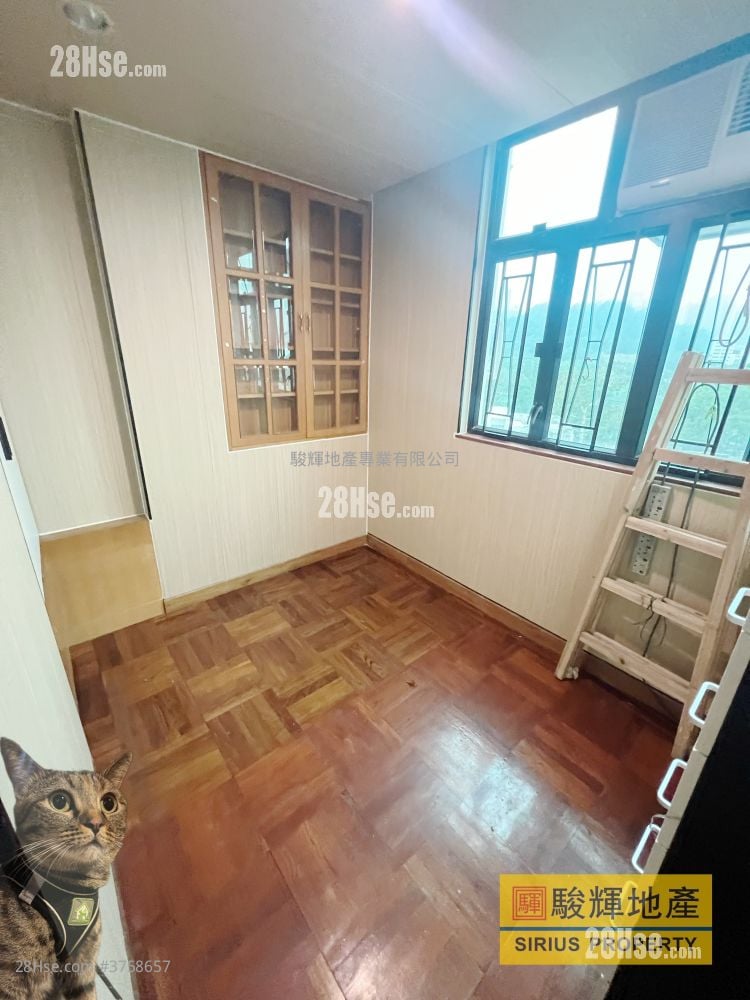 Ashfield House Rental 3 Bedrooms , 1 Bathroom 532 ft²