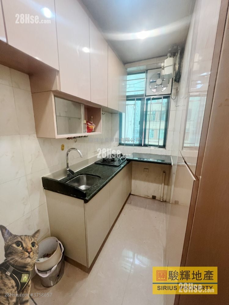 Ashfield House Rental 3 Bedrooms , 1 Bathroom 532 ft²