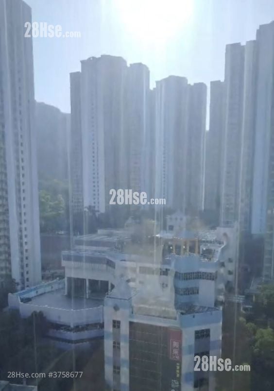 柏汇 售盘 1 房 , 1 浴室 328 平方尺