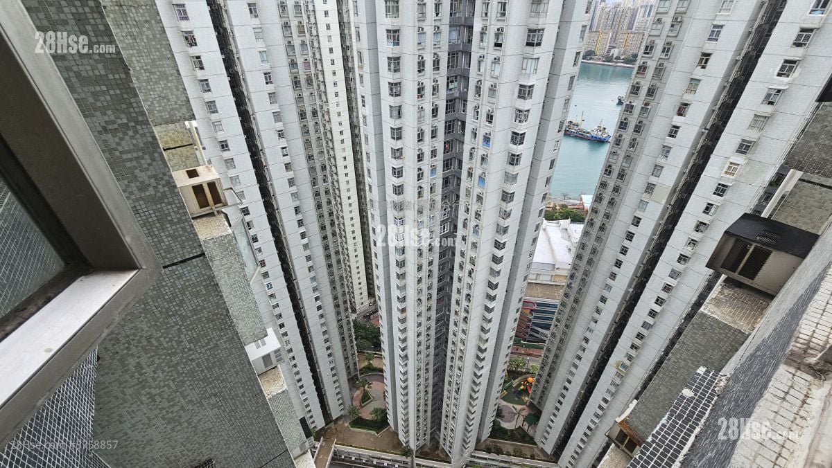 Belvedere Garden Sell 3 Bedrooms , 1 Bathroom 572 ft²