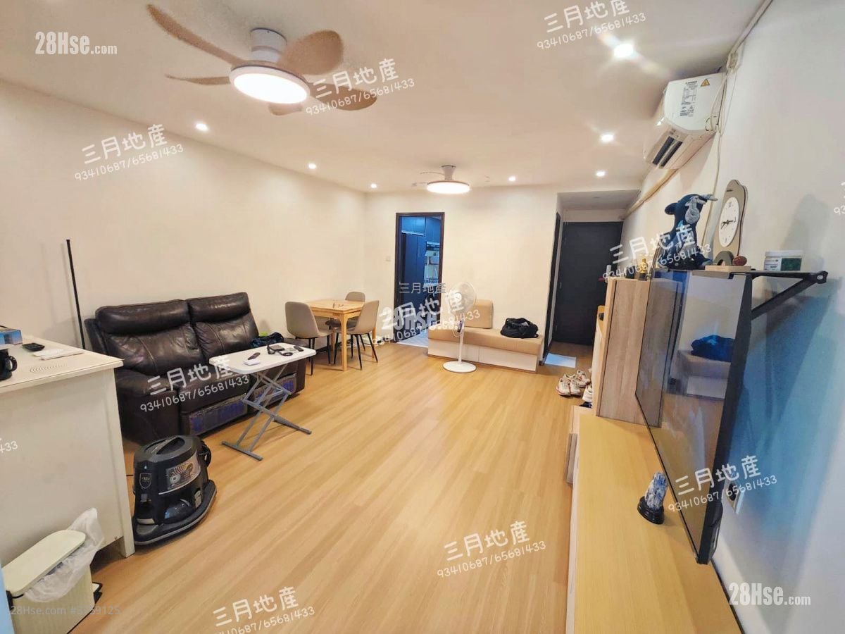 柏树街6号 售盘 1 房 , 1 浴室 465 平方尺