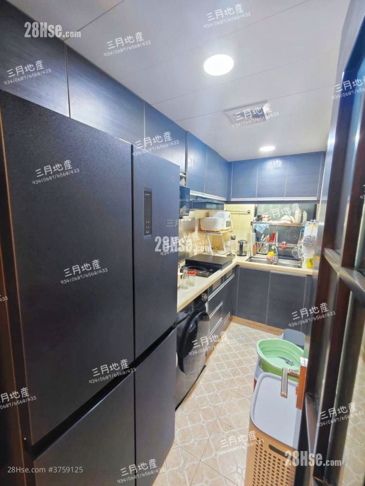 柏树街6号 售盘 1 房 , 1 浴室 465 平方尺