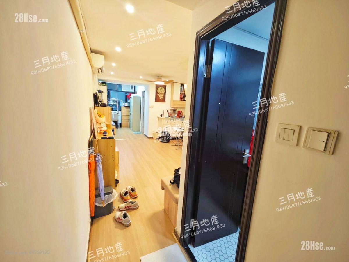 柏树街6号 售盘 1 房 , 1 浴室 465 平方尺