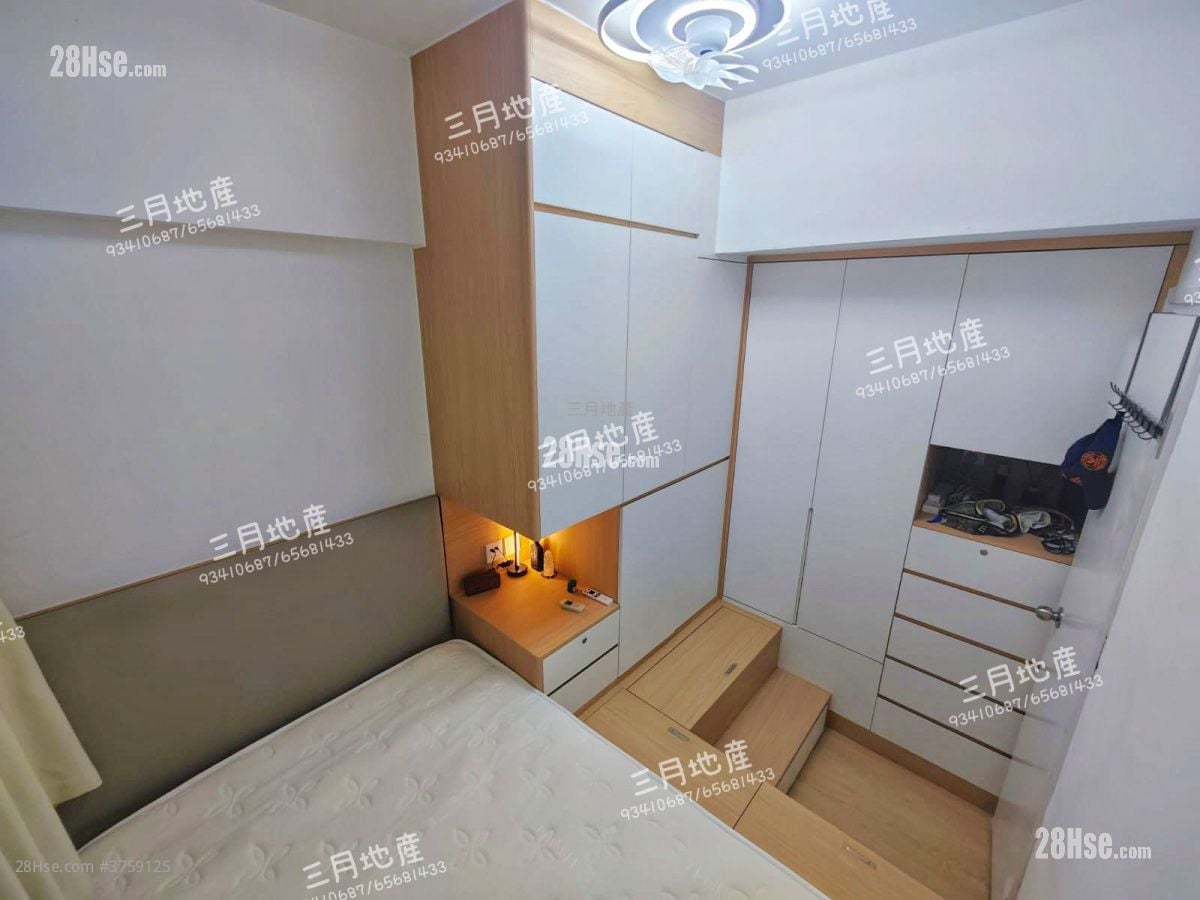 柏树街6号 售盘 1 房 , 1 浴室 465 平方尺