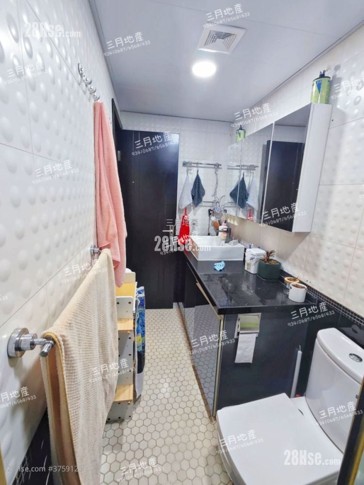 柏树街6号 售盘 1 房 , 1 浴室 465 平方尺