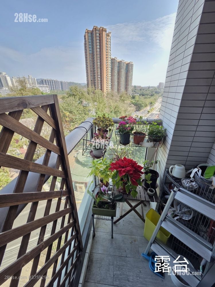 帝御 售盘 2 房 , 1 浴室 467 平方尺