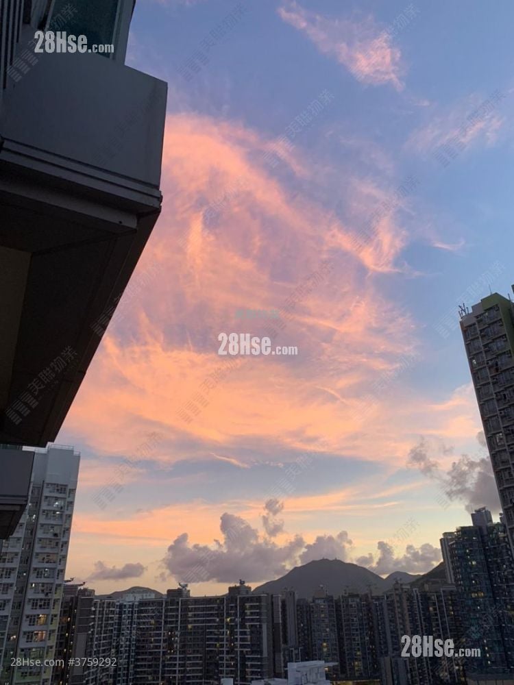 Savannah Sell 1 Bedroom , 1 Bathroom 330 ft²