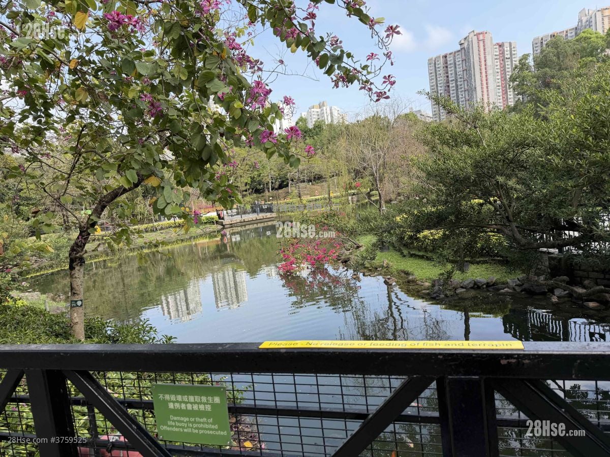 Village Rental 3 Bedrooms , 2 Bathrooms 1,400 ft²