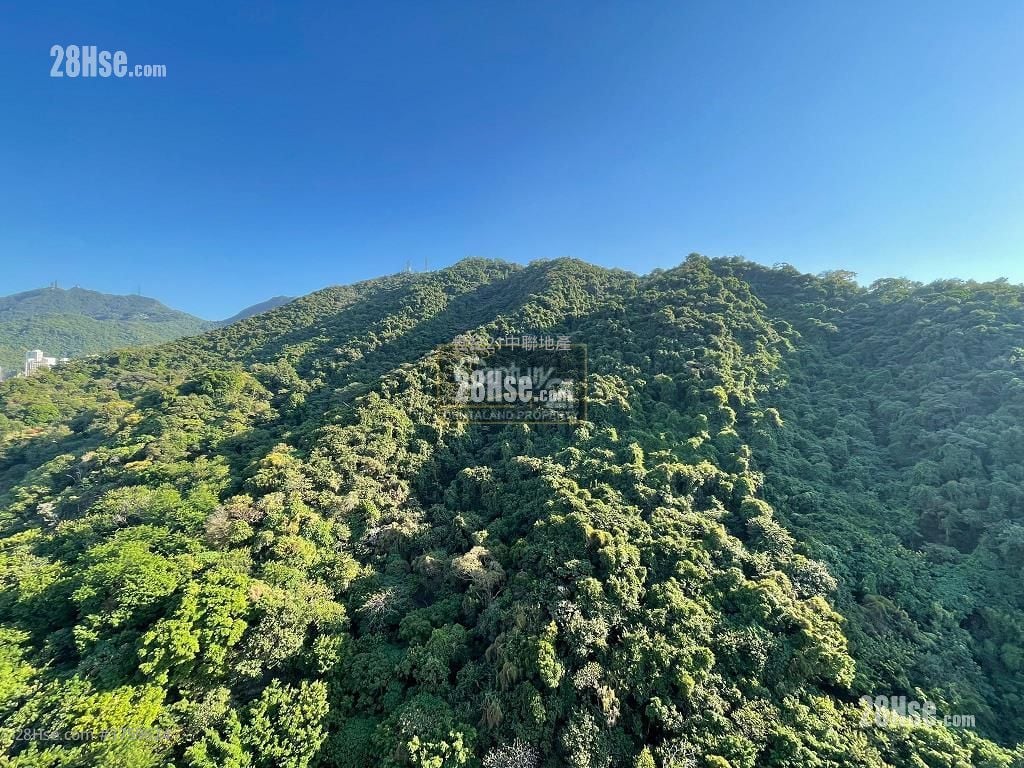 傲翔湾畔 租盘 2 房 , 1 浴室 524 平方尺