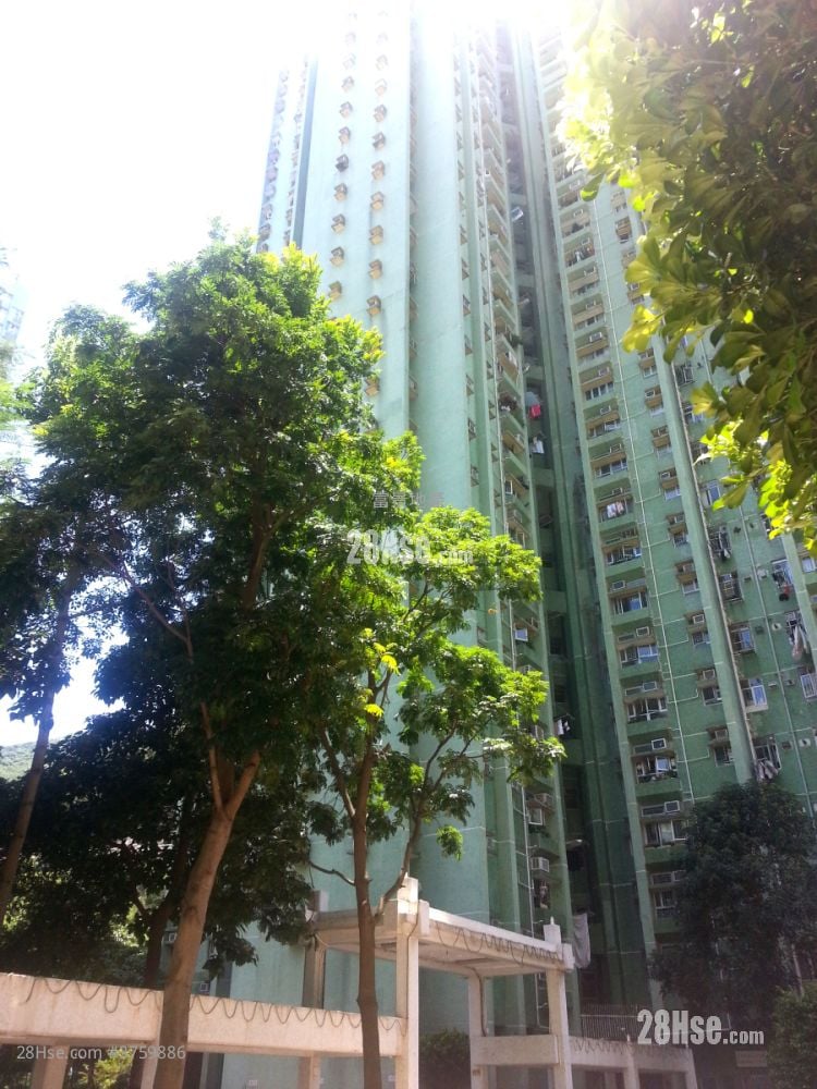 晓翠苑 售盘 3 房 554 平方尺