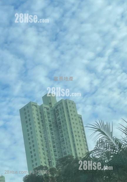 晓翠苑 售盘 3 房 554 平方尺