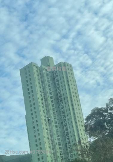 晓翠苑 售盘 3 房 554 平方尺