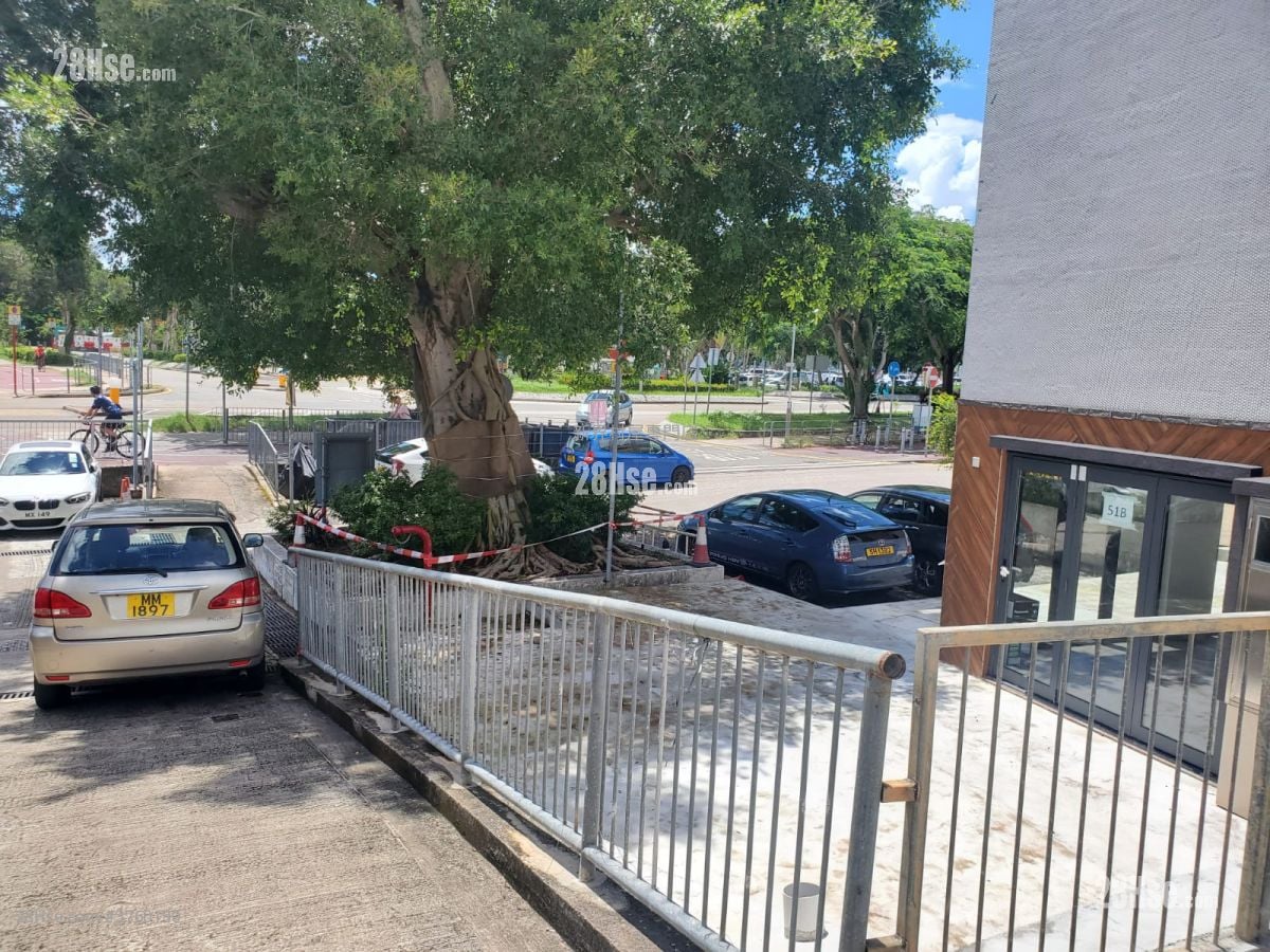 村屋 售盘 5+ 房 2,100 平方尺