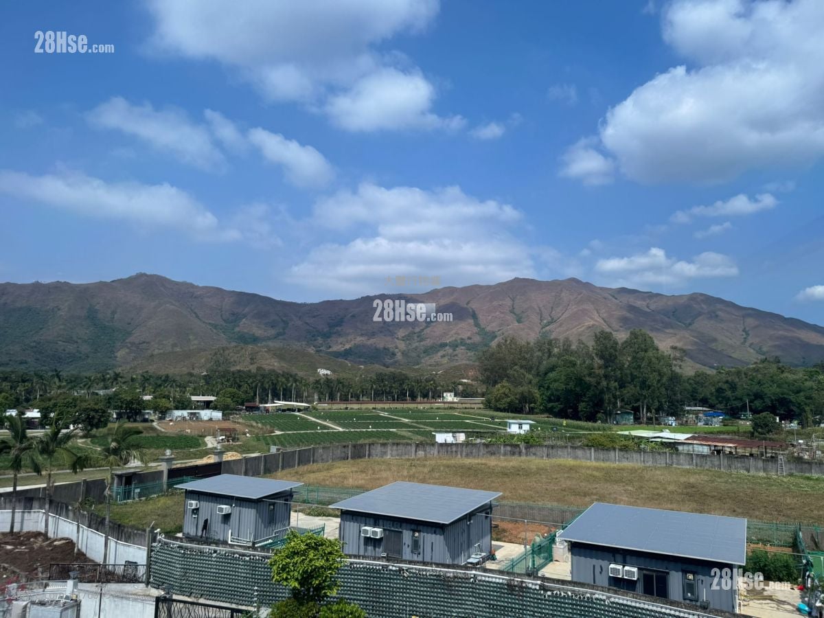 水头村 售盘 4 房 , 3 浴室 2,100 平方尺