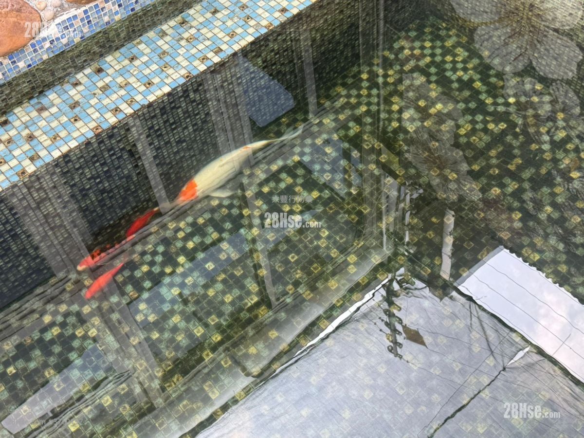 水头村 售盘 4 房 , 3 浴室 2,100 平方尺